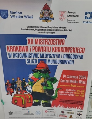 plakat Mistrzostw