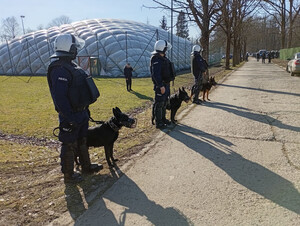 Przewodnicy Psów służbowych wraz z psami służbowymi stojący przy drodze prowadzącej na stadion