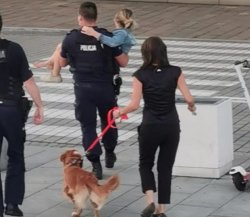 policjant niosący poszkodowaną kobietę przed przejściem dla pieszych. za nim znajduje się kobieta prowadząca psa na smyczy ubrana na czarno oraz drugi policjnat_0