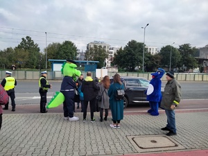 Działania w okolicach przejścia dla pieszych