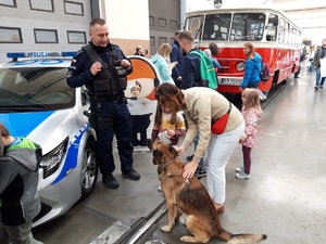 kobita głaszcze policyjnego psa, obok przy radiowozie stoi policjant w tle zabytkowy autobus i inni ludzie