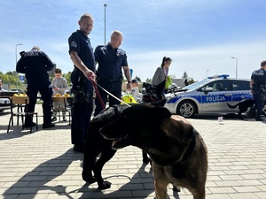 policjant prewencji oraz przewodnik z psami służbowymi, w tle radiowóz