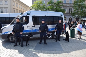 trzech przewodników psów służbowych wraz z psami służbowymi stojący przed radiowozem