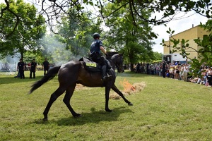 policjant na koniu służbowym w trakcie pokazu. Obok widać licznie zgromadzoną widownię