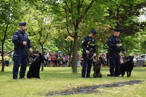 trzech policjantów obok których stoją policyjne psy służbowe. Za nimi widać licznie zgromadzoną widownię