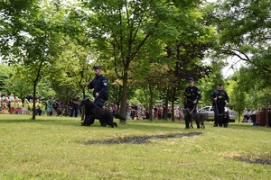 trzech policjantów prowadzących policyjne psy służbowe. W oddali widać licznie zgormadzonych widzów