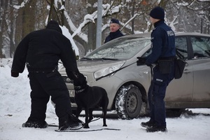 pokaz psów policyjnych w tle samochód