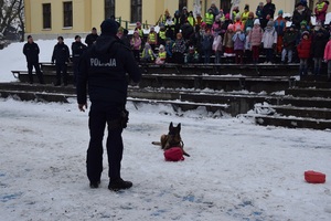 dzieci oglądają pokaz policyjnych psów